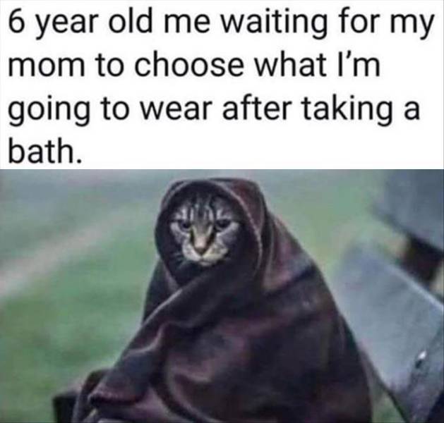 Daily Pictures. Part 2 (63 pics)