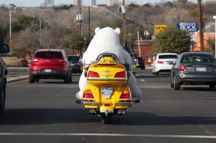 Daily Pictures. Part 1 (64 pics) Daily Pictures. Part 1 (64 pics)