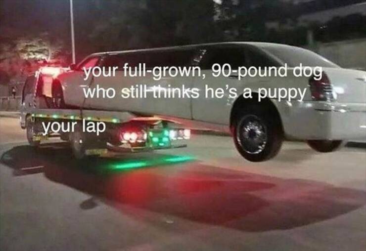 Daily Pictures. Part 2 (63 pics)