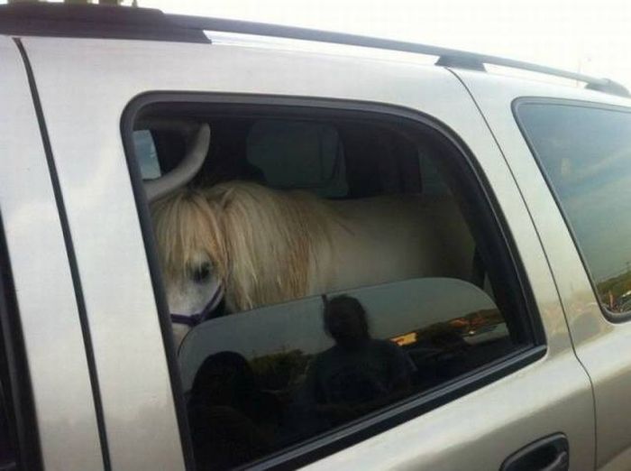 Daily Pictures. Part 2 (63 pics)