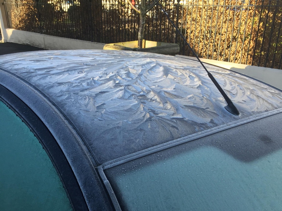 Daily Pictures. Part 2 (63 pics)