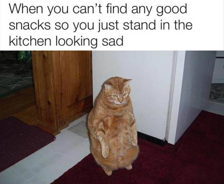 Daily Pictures. Part 2 (63 pics)