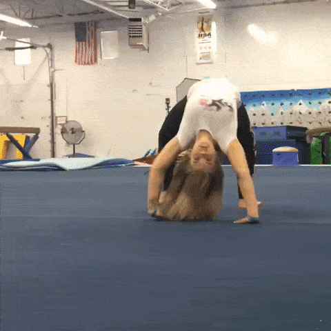 Acid GIFs, January 30 (25 gifs) Acid GIFs, January 30 (25 gifs)