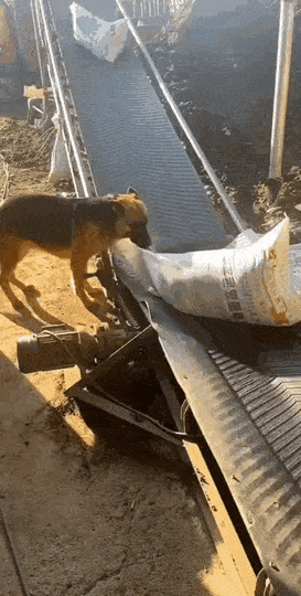 Acid GIFs, January 30 (25 gifs) Acid GIFs, January 30 (25 gifs)