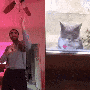 Acid GIFs, January 30 (25 gifs) Acid GIFs, January 30 (25 gifs)