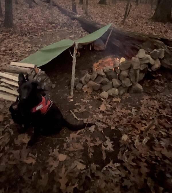 Atmospheric Bushcrat Photos (27 pics) Atmospheric Bushcrat Photos (27 pics)