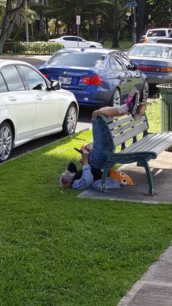 What Is Going On Here? (25 pics)