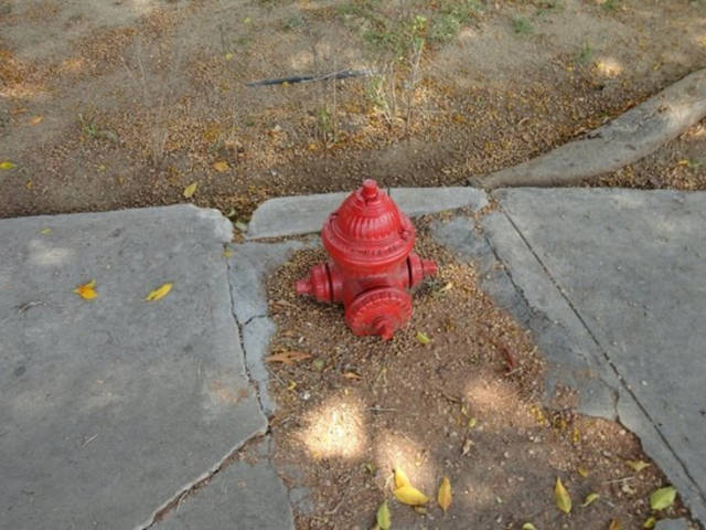 What Is Going On Here? (25 pics)