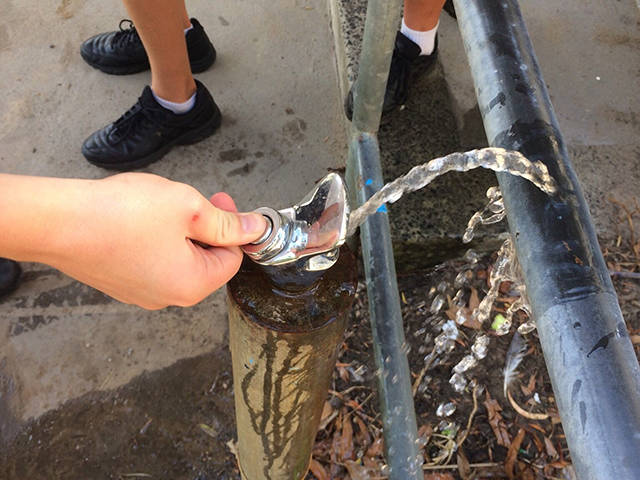 What Is Going On Here? (25 pics)