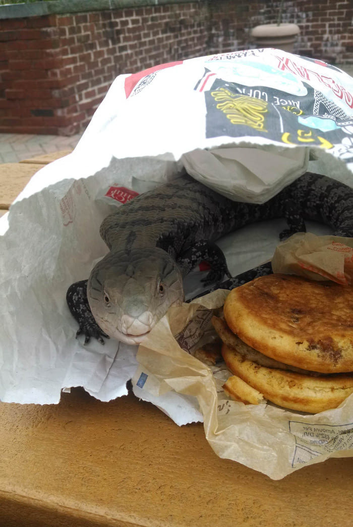 Bad Days Happen (29 pics)