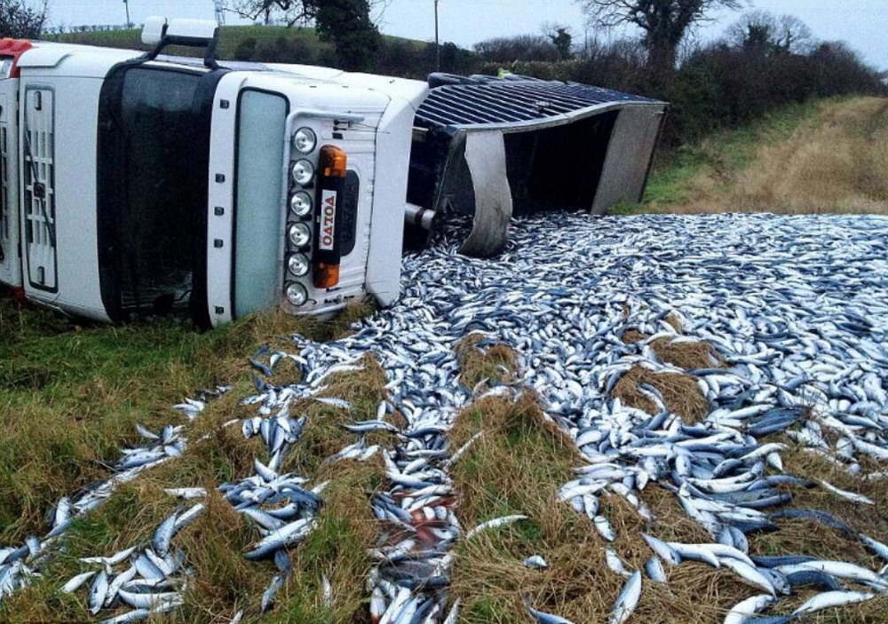 Bad Days Happen (29 pics)