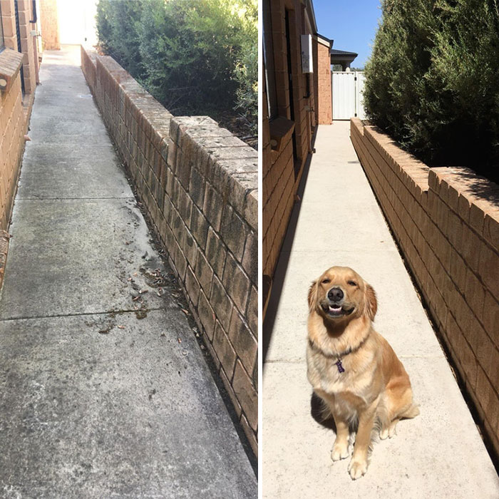 Before And After Cleaning (23 pics) Before And After Cleaning (23 pics)