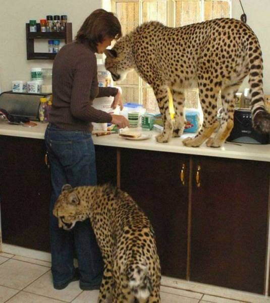 Daily Pictures. Part 1 (64 pics)