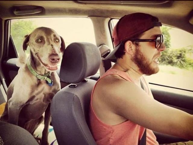 Daily Pictures. Part 1 (64 pics)