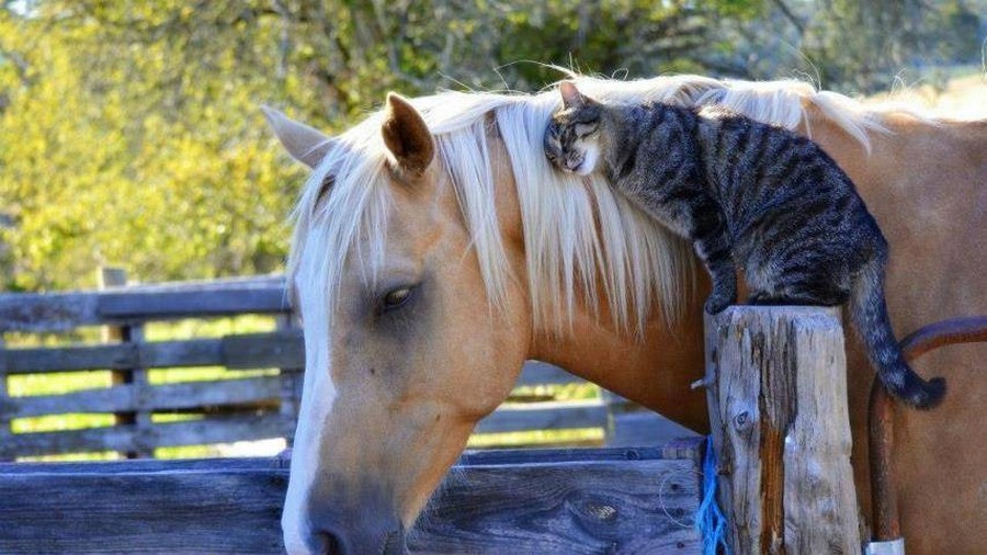 Daily Pictures. Part 1 (64 pics)