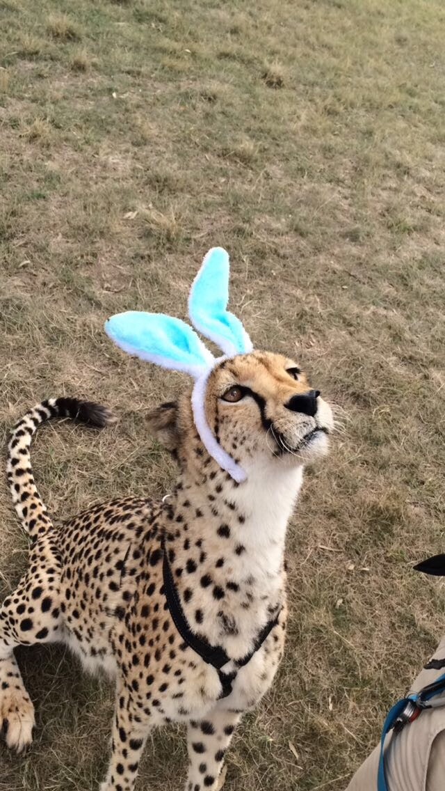 Daily Pictures. Part 1 (64 pics)