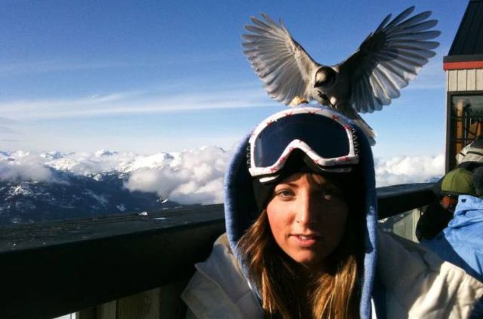 Daily Pictures. Part 1 (64 pics)