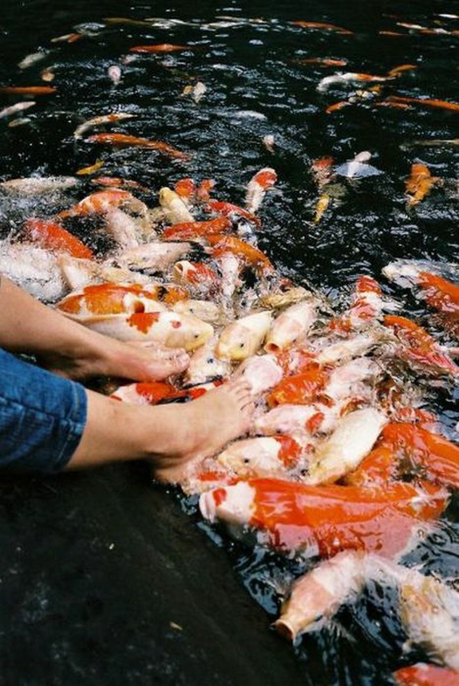 Daily Pictures. Part 1 (64 pics)