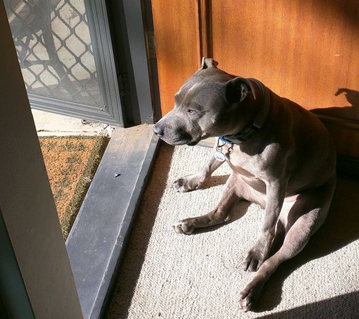 Daily Pictures. Part 1 (64 pics)