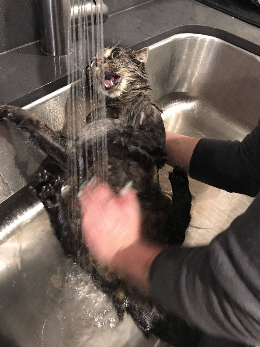 Daily Pictures. Part 1 (64 pics)