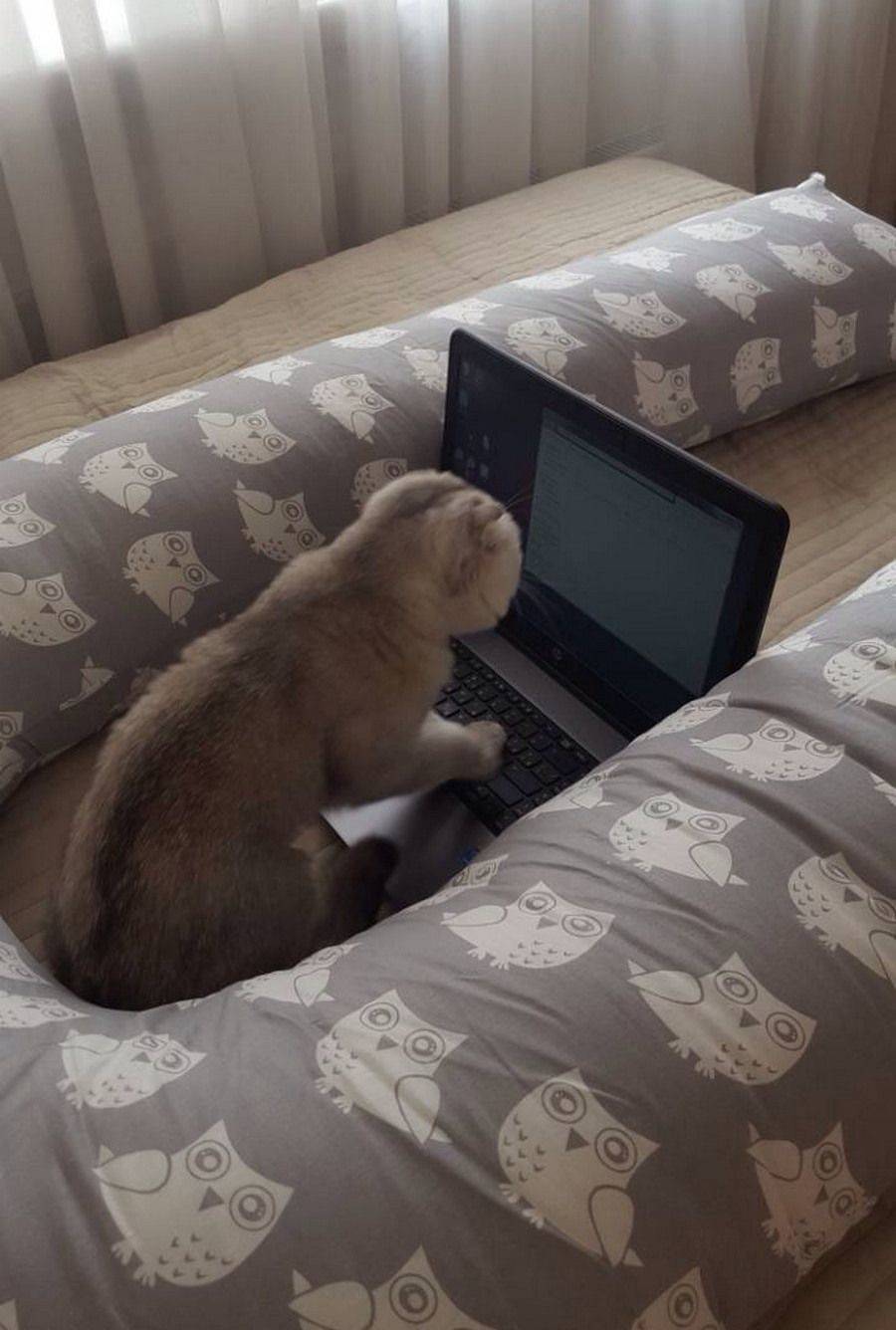 Daily Pictures. Part 1 (64 pics)