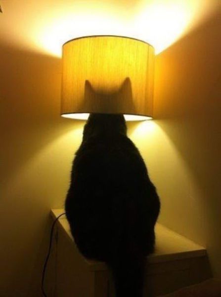 Daily Pictures. Part 1 (64 pics)