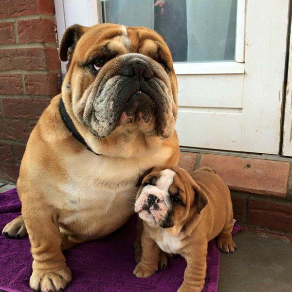 Daily Pictures. Part 1 (64 pics)