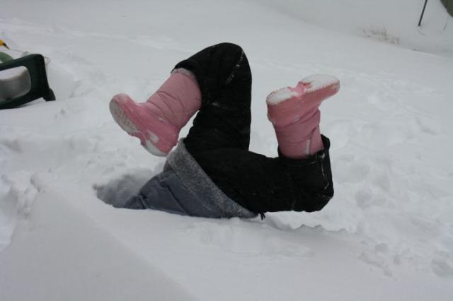 Daily Pictures. Part 2 (63 pics)