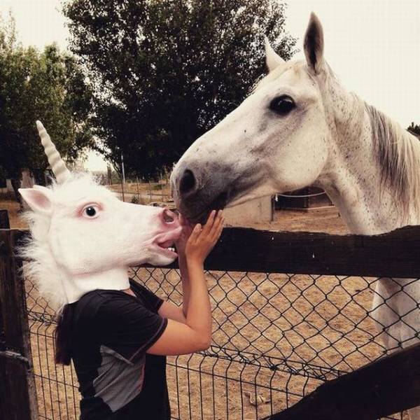 Daily Pictures. Part 1 (64 pics)