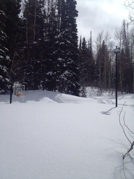 Daily Pictures. Part 2 (63 pics)