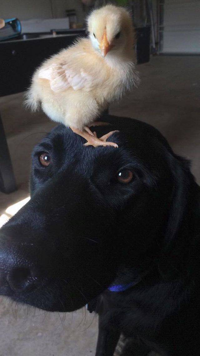 Daily Pictures. Part 1 (64 pics)