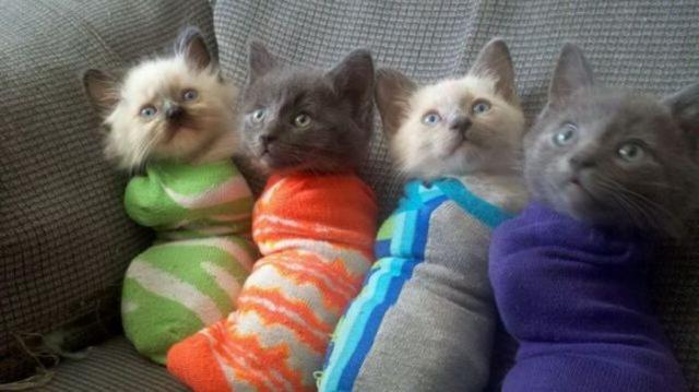 Daily Pictures. Part 2 (63 pics)