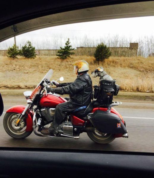 Daily Pictures. Part 2 (63 pics)