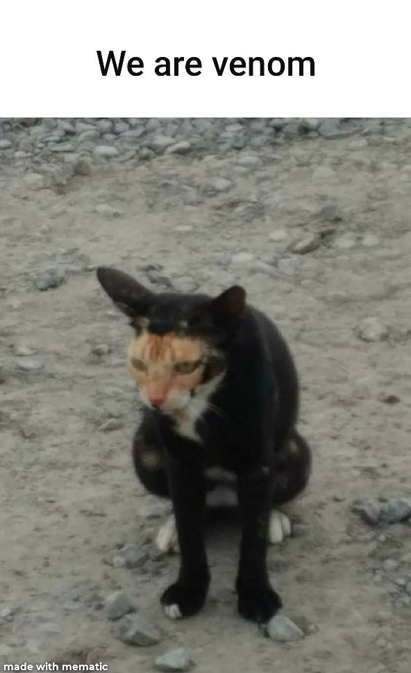 Daily Pictures. Part 2 (63 pics)