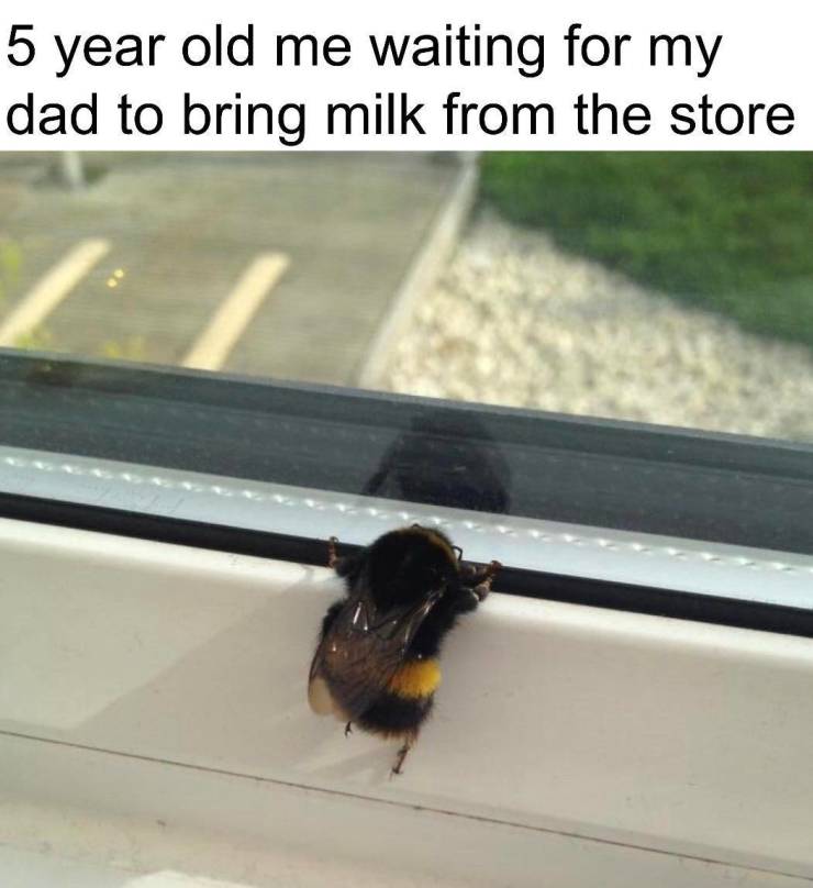 Daily Pictures. Part 2 (63 pics)