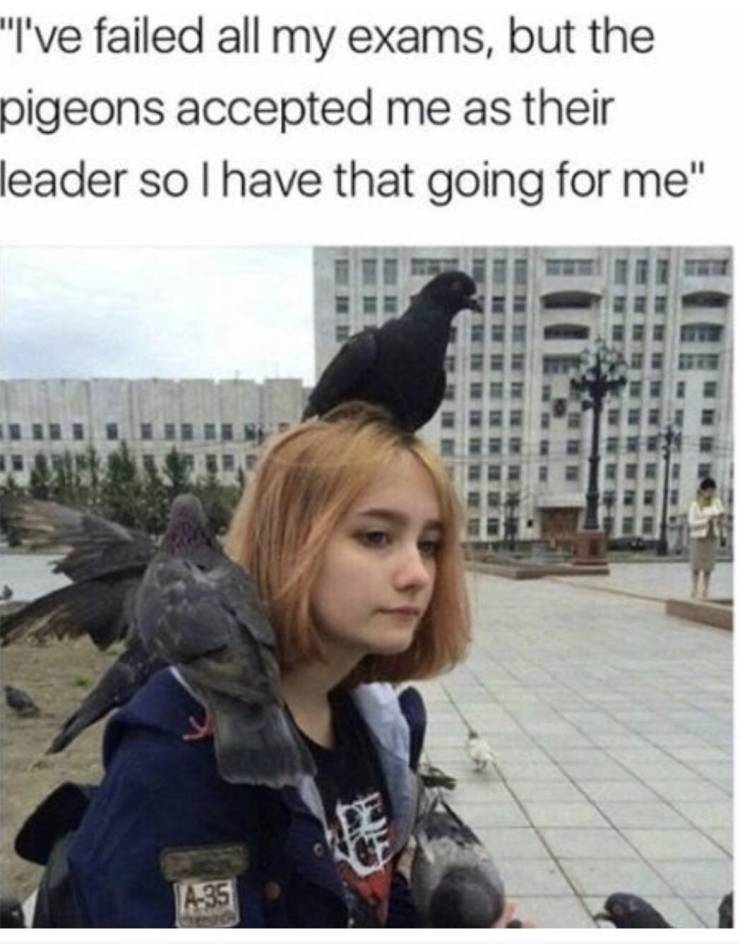 Daily Pictures. Part 2 (63 pics)