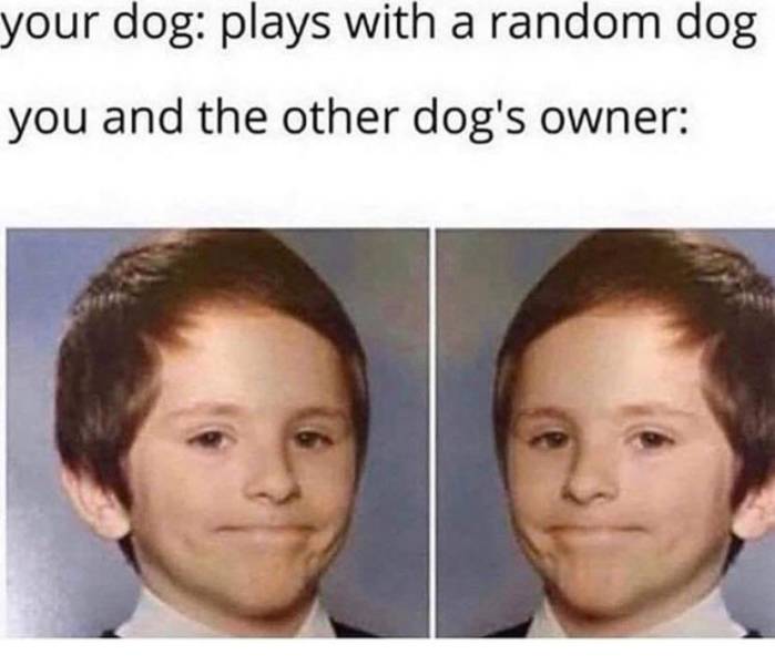 Daily Pictures. Part 2 (63 pics)