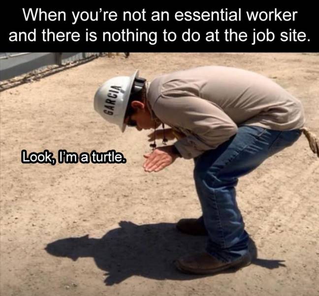 Daily Pictures. Part 2 (63 pics)