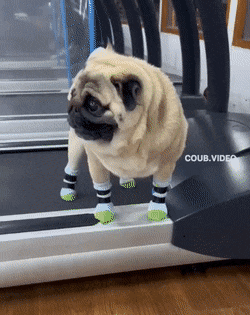 Acid GIFs, February 2 (25 gifs)