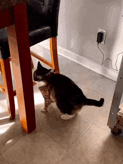 Acid GIFs, February 2 (25 gifs)