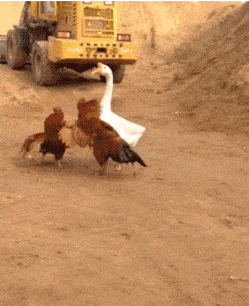 Acid GIFs, February 2 (25 gifs)