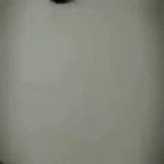 Acid GIFs, February 2 (25 gifs)