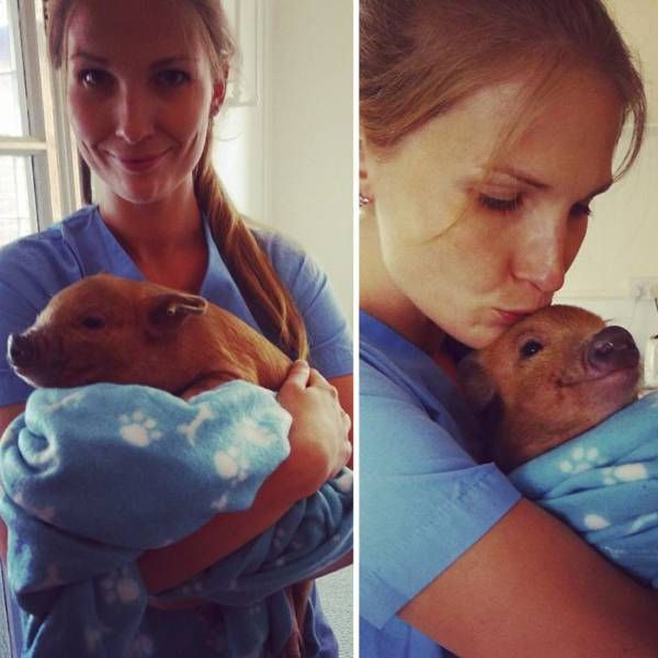 Daily Pictures. Part 1 (64 pics)