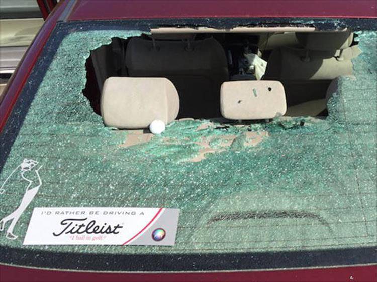 Daily Pictures. Part 1 (64 pics)