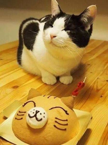 Daily Pictures. Part 1 (64 pics)