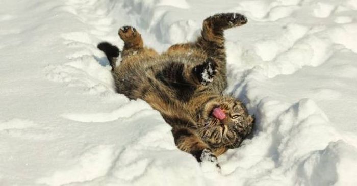 Daily Pictures. Part 1 (64 pics)