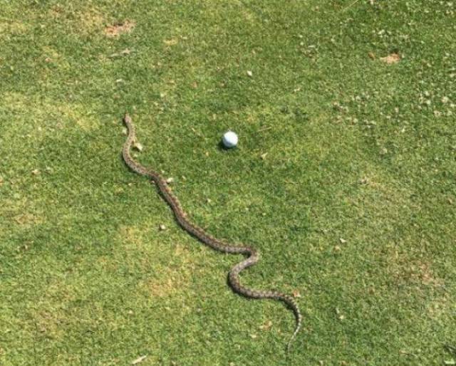 Daily Pictures. Part 1 (64 pics)