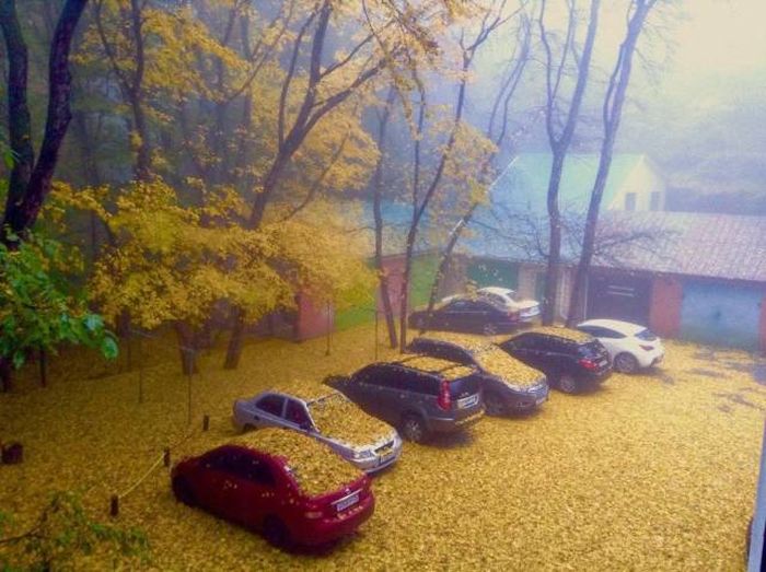 Daily Pictures. Part 1 (64 pics)