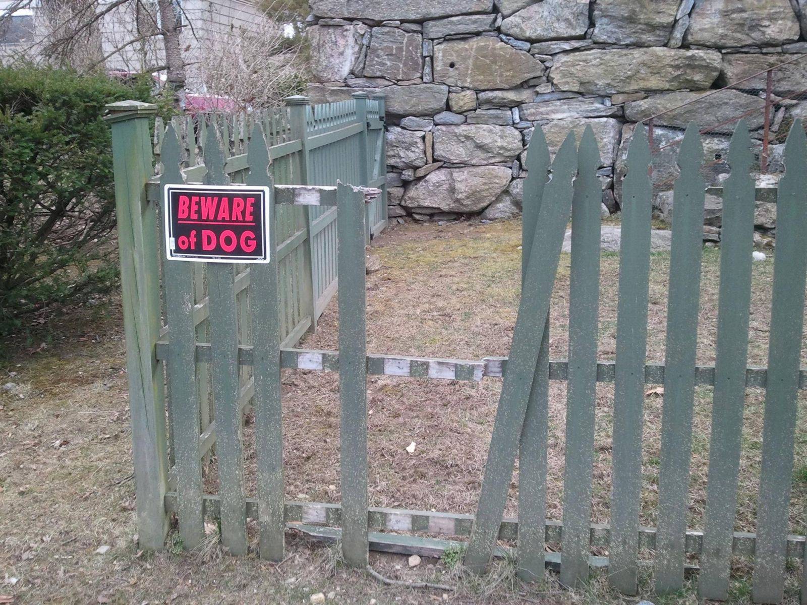 Daily Pictures. Part 1 (64 pics)