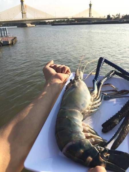 Daily Pictures. Part 1 (64 pics)